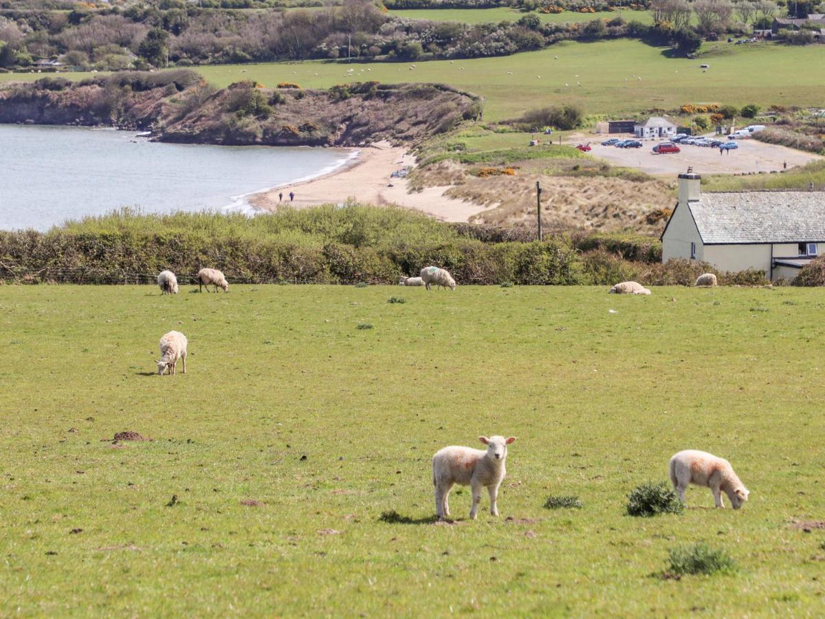 Bryn Hyfryd Caravan Penrhos-Lligwy Dış mekan fotoğraf